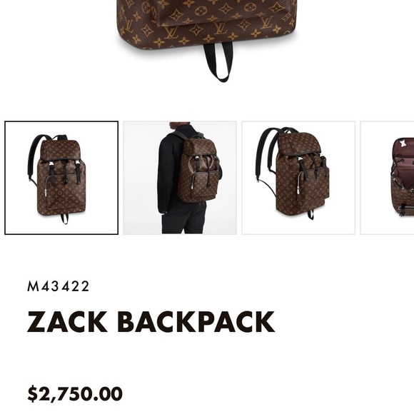 Louis Vuitton Men’s Backpack “zack” - Picture 10 of 12
